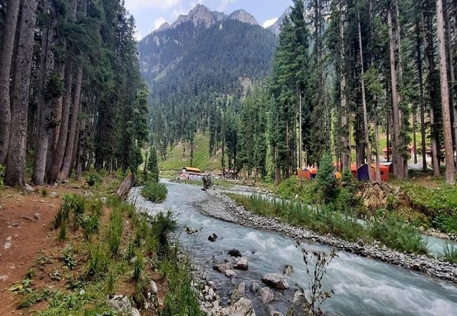 Delhi Agra Kullu Manali Honeymoon Package By Volvo