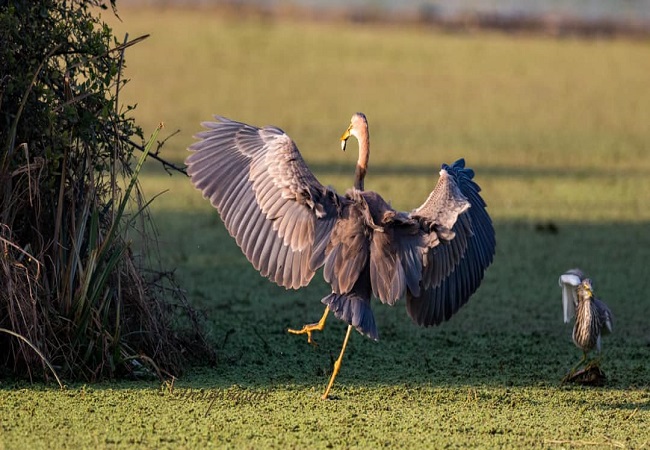 Bharatpur One Day Tour