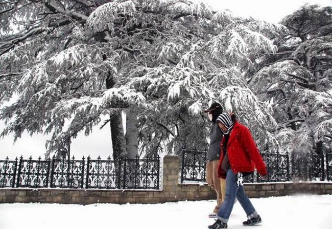 Manali Honeymoon Trip
