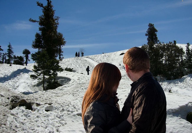 Manali Shimla Honeymoon Packages 